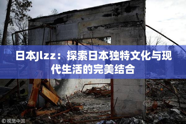 日本Jlzz：探索日本独特文化与现代生活的完美结合