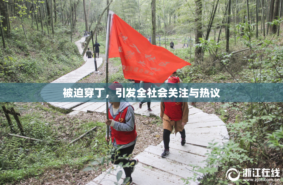 被迫穿丁，引发全社会关注与热议