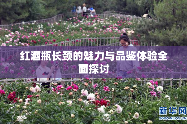 红酒瓶长颈的魅力与品鉴体验全面探讨