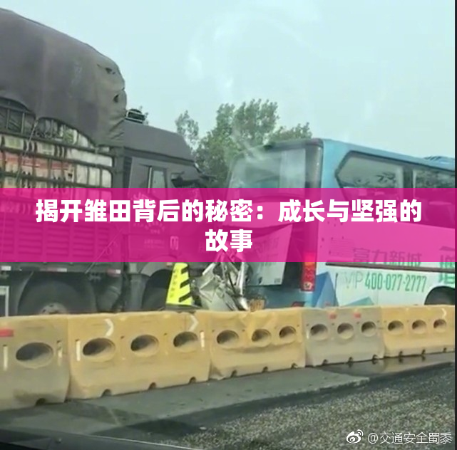 揭开雏田背后的秘密：成长与坚强的故事