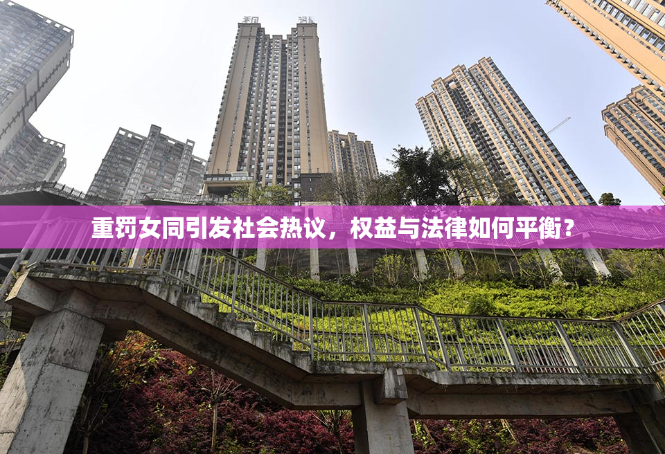 重罚女同引发社会热议，权益与法律如何平衡？