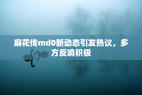 麻花传md0新动态引发热议，多方反响积极