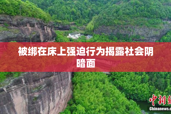 被绑在床上强迫行为揭露社会阴暗面