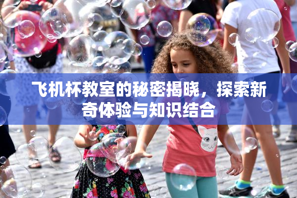 飞机杯教室的秘密揭晓，探索新奇体验与知识结合