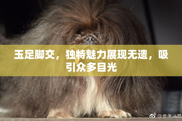 玉足脚交，独特魅力展现无遗，吸引众多目光