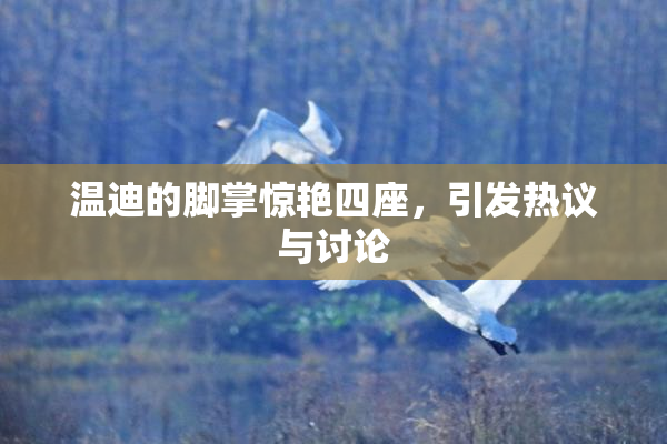 温迪的脚掌惊艳四座，引发热议与讨论
