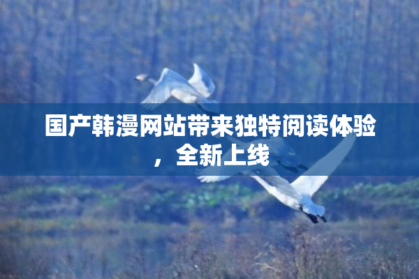国产韩漫网站带来独特阅读体验，全新上线
