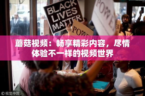 蘑菇视频：畅享精彩内容，尽情体验不一样的视频世界