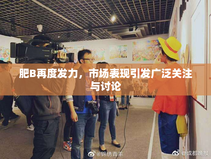 肥B再度发力，市场表现引发广泛关注与讨论