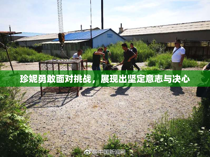 珍妮勇敢面对挑战，展现出坚定意志与决心