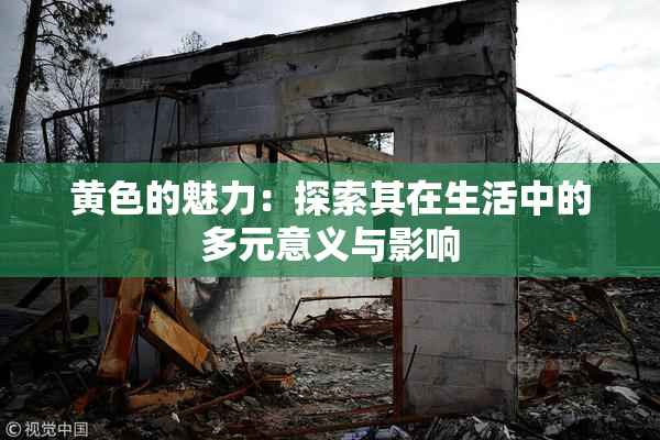 黄色的魅力：探索其在生活中的多元意义与影响