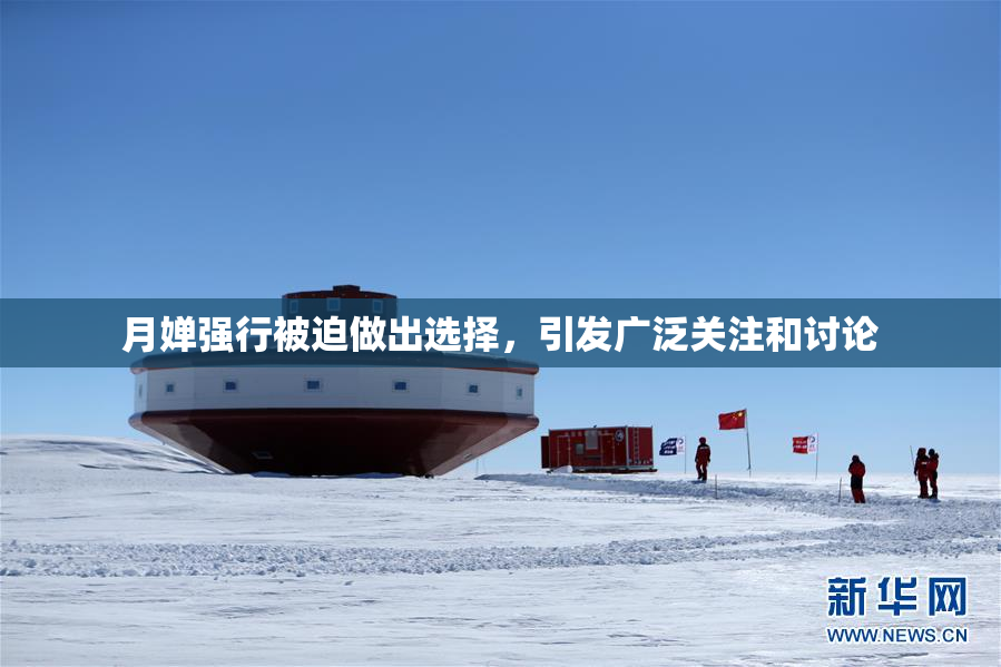 月婵强行被迫做出选择，引发广泛关注和讨论