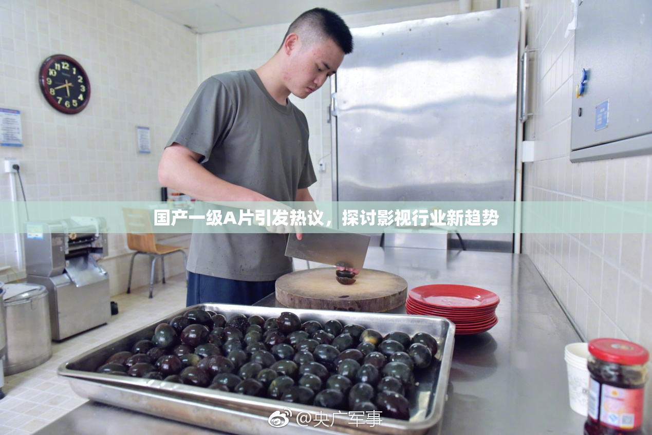 国产一级A片引发热议，探讨影视行业新趋势