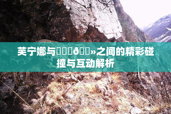 芙宁娜与❌‌‌🐻之间的精彩碰撞与互动解析