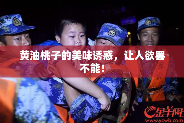 黄油桃子的美味诱惑，让人欲罢不能！