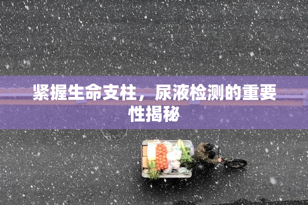 紧握生命支柱，尿液检测的重要性揭秘