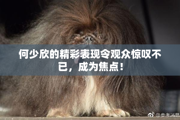 何少欣的精彩表现令观众惊叹不已，成为焦点！