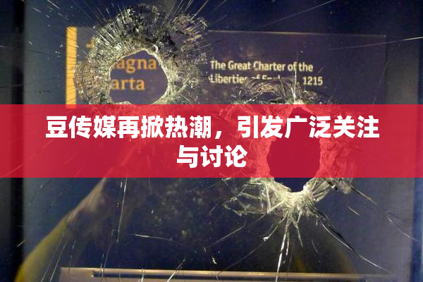 豆传媒再掀热潮，引发广泛关注与讨论