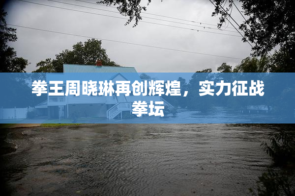 拳王周晓琳再创辉煌，实力征战拳坛