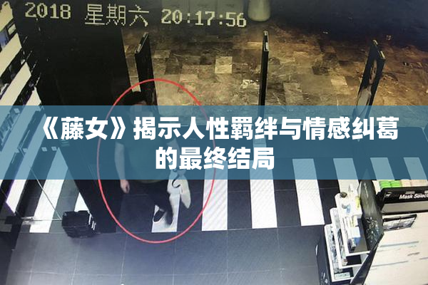 《藤女》揭示人性羁绊与情感纠葛的最终结局