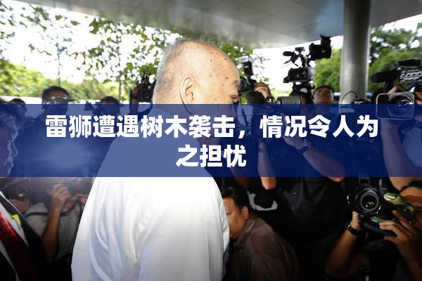 雷狮遭遇树木袭击，情况令人为之担忧