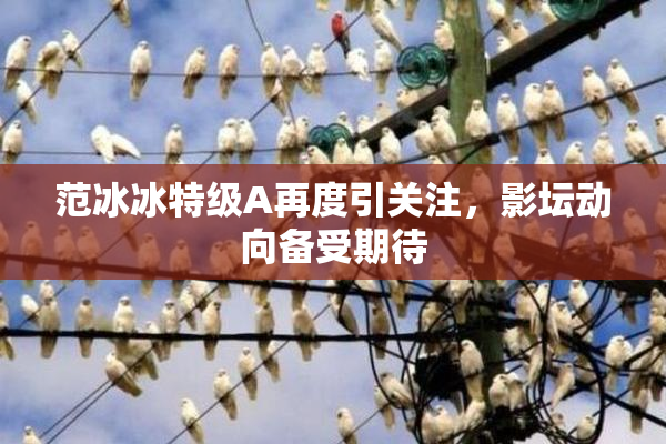 范冰冰特级A再度引关注，影坛动向备受期待