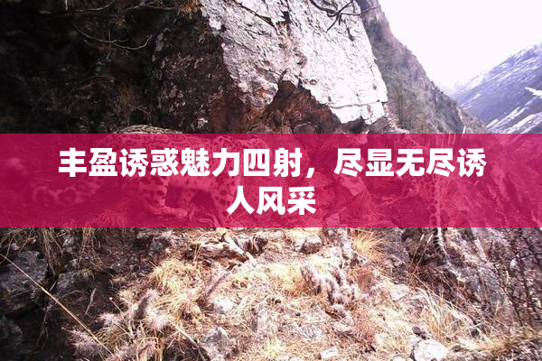丰盈诱惑魅力四射，尽显无尽诱人风采