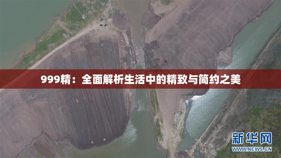 999精：全面解析生活中的精致与简约之美