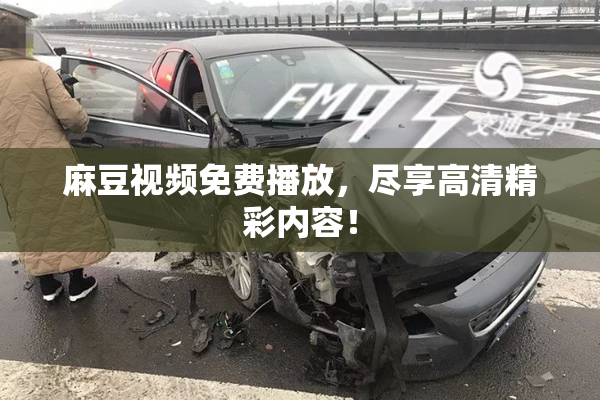 麻豆视频免费播放，尽享高清精彩内容！