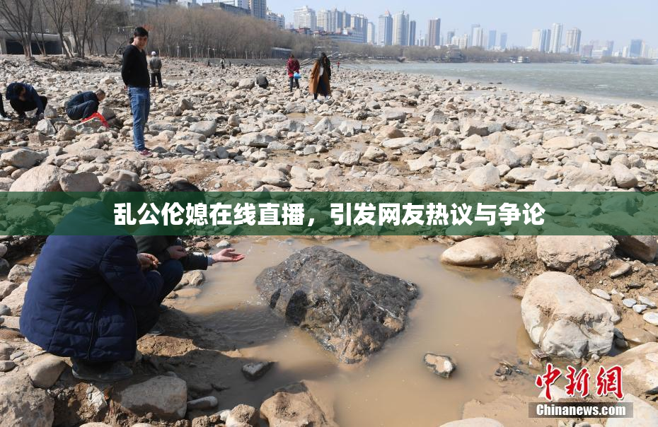 乱公伦媳在线直播，引发网友热议与争论