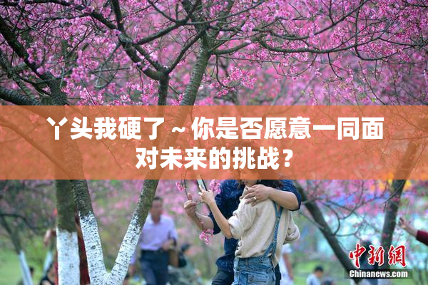 丫头我硬了～你是否愿意一同面对未来的挑战？