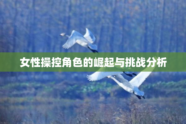 女性操控角色的崛起与挑战分析