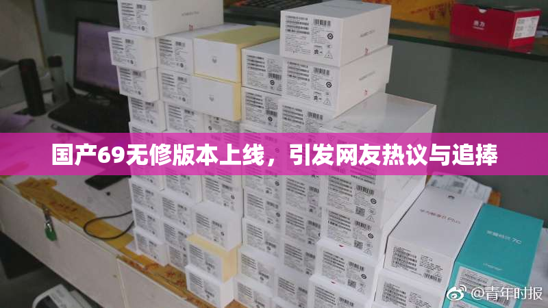 国产69无修版本上线，引发网友热议与追捧