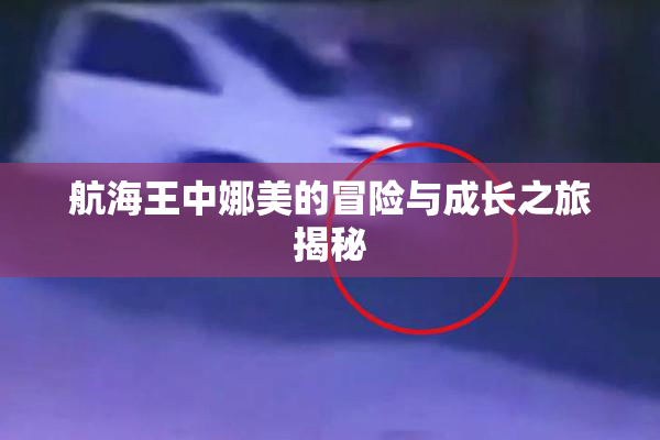 航海王中娜美的冒险与成长之旅揭秘