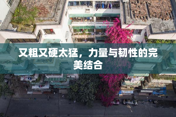 又粗又硬太猛，力量与韧性的完美结合
