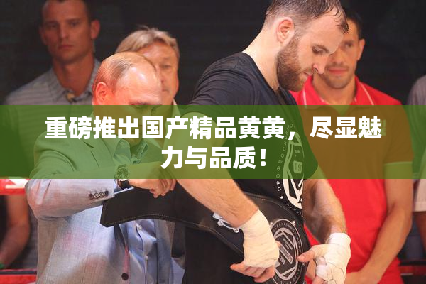 重磅推出国产精品黄黄，尽显魅力与品质！