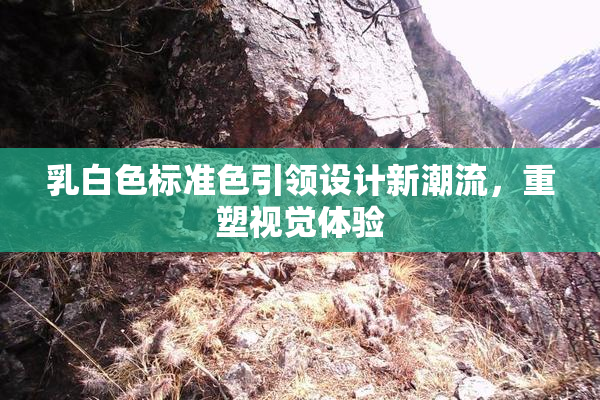 乳白色标准色引领设计新潮流，重塑视觉体验