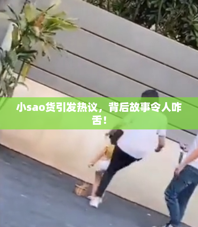 小sao货引发热议，背后故事令人咋舌！