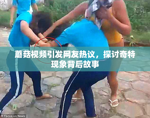 蘑菇视频引发网友热议，探讨奇特现象背后故事