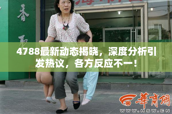4788最新动态揭晓，深度分析引发热议，各方反应不一！