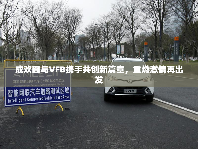 成欢阁与VFB携手共创新篇章，重燃激情再出发