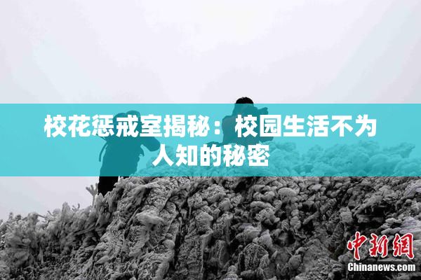 校花惩戒室揭秘：校园生活不为人知的秘密