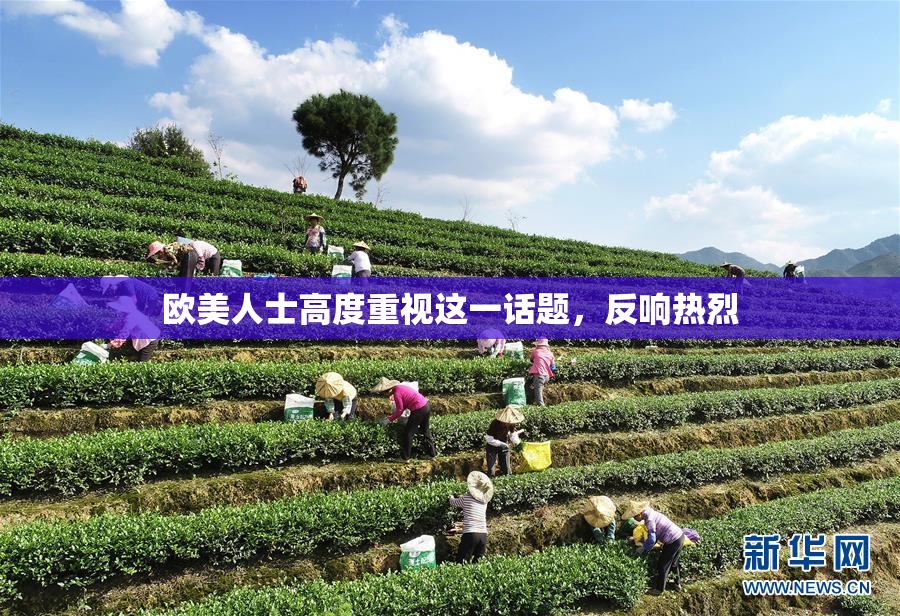 欧美人士高度重视这一话题，反响热烈
