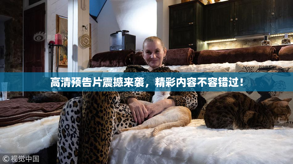 高清预告片震撼来袭，精彩内容不容错过！