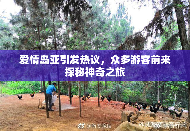 爱情岛亚引发热议，众多游客前来探秘神奇之旅