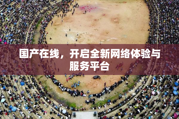 国产在线，开启全新网络体验与服务平台