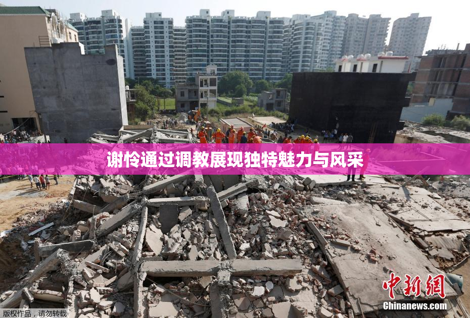 谢怜通过调教展现独特魅力与风采