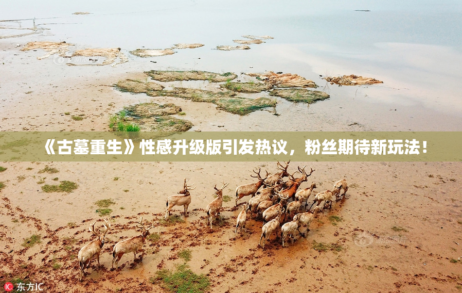 《古墓重生》性感升级版引发热议，粉丝期待新玩法！