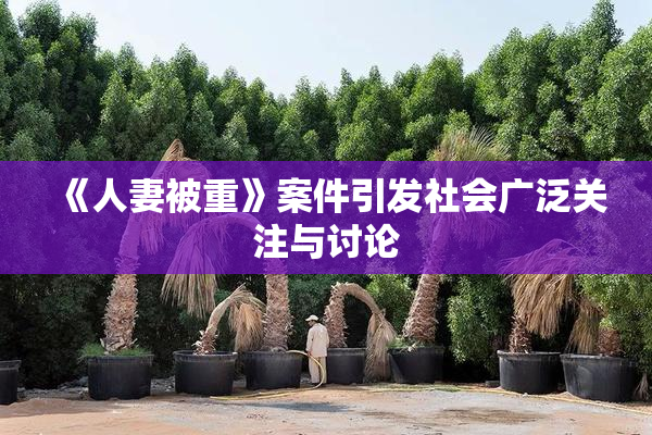 《人妻被重》案件引发社会广泛关注与讨论