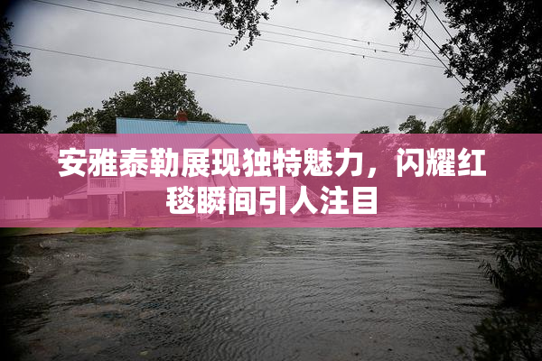 安雅泰勒展现独特魅力，闪耀红毯瞬间引人注目